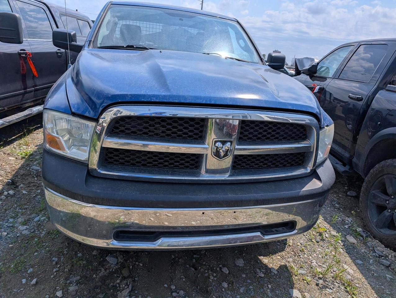 2010 Dodge Ram 1500 Blue vin: 1D7RV1GP6AS203651