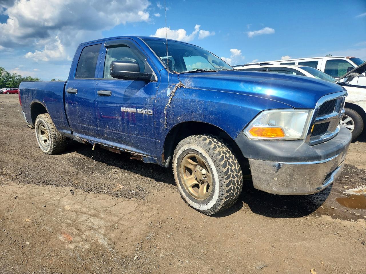 2011 Dodge Ram 1500 Blue vin: 1D7RV1GP8BS501782