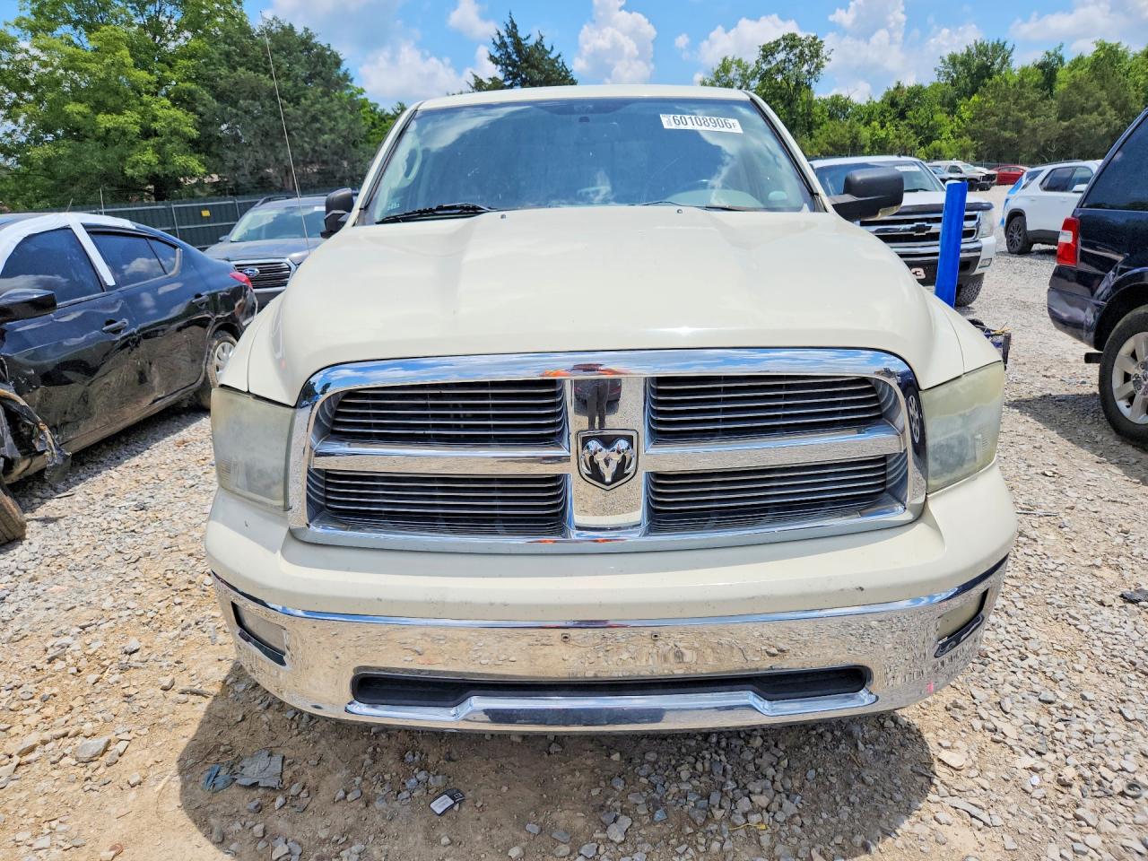 2010 Dodge Ram 1500 Cream vin: 1D7RV1GT2AS227491