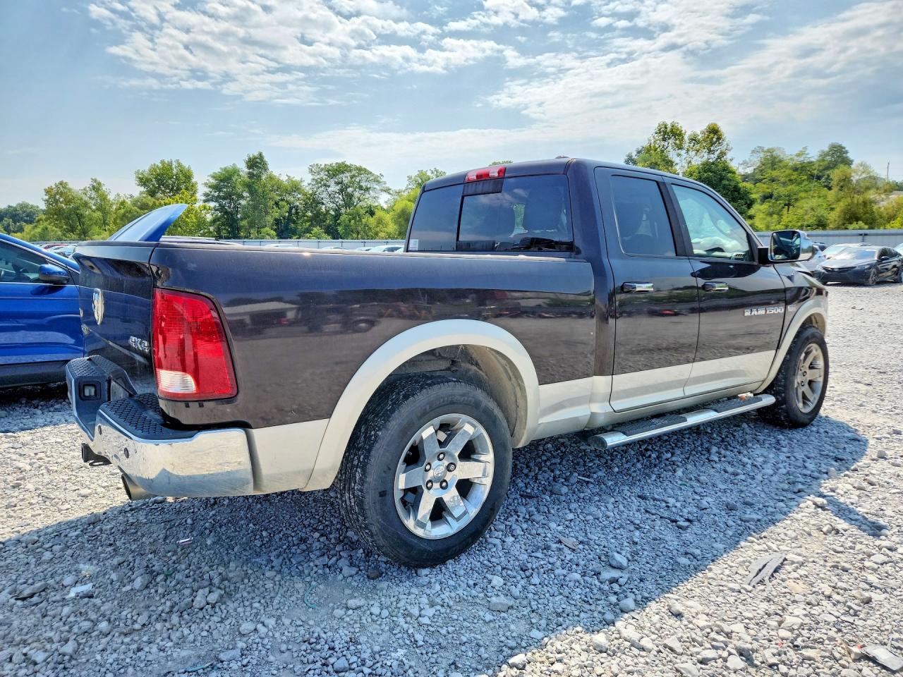2011 Dodge Ram 1500 Коричневый vin: 1D7RV1GT2BS660455