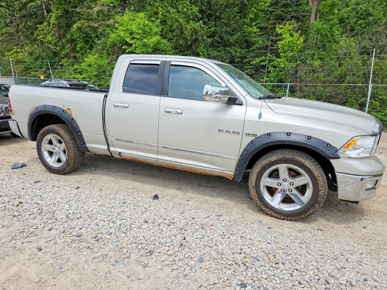 2010 Dodge Ram 1500 Tan vin: 1D7RV1GT4AS198737