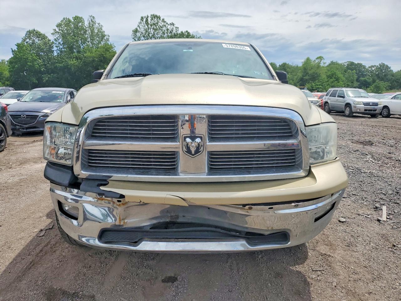 2011 Dodge Ram 1500 St Золотой vin: 1D7RV1GT6BS630424