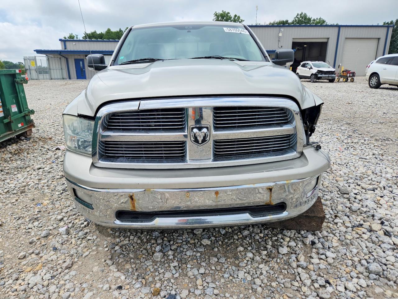 2010 Dodge Ram 1500 Желто-коричневый vin: 1D7RV1GT7AS186095