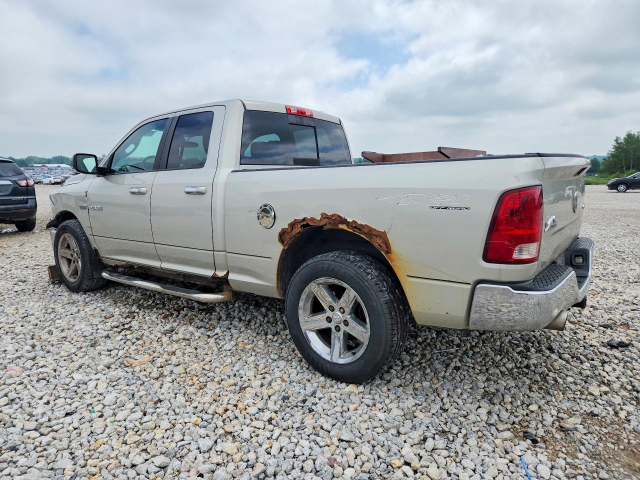 2010 Dodge Ram 1500 Желто-коричневый vin: 1D7RV1GT7AS186095