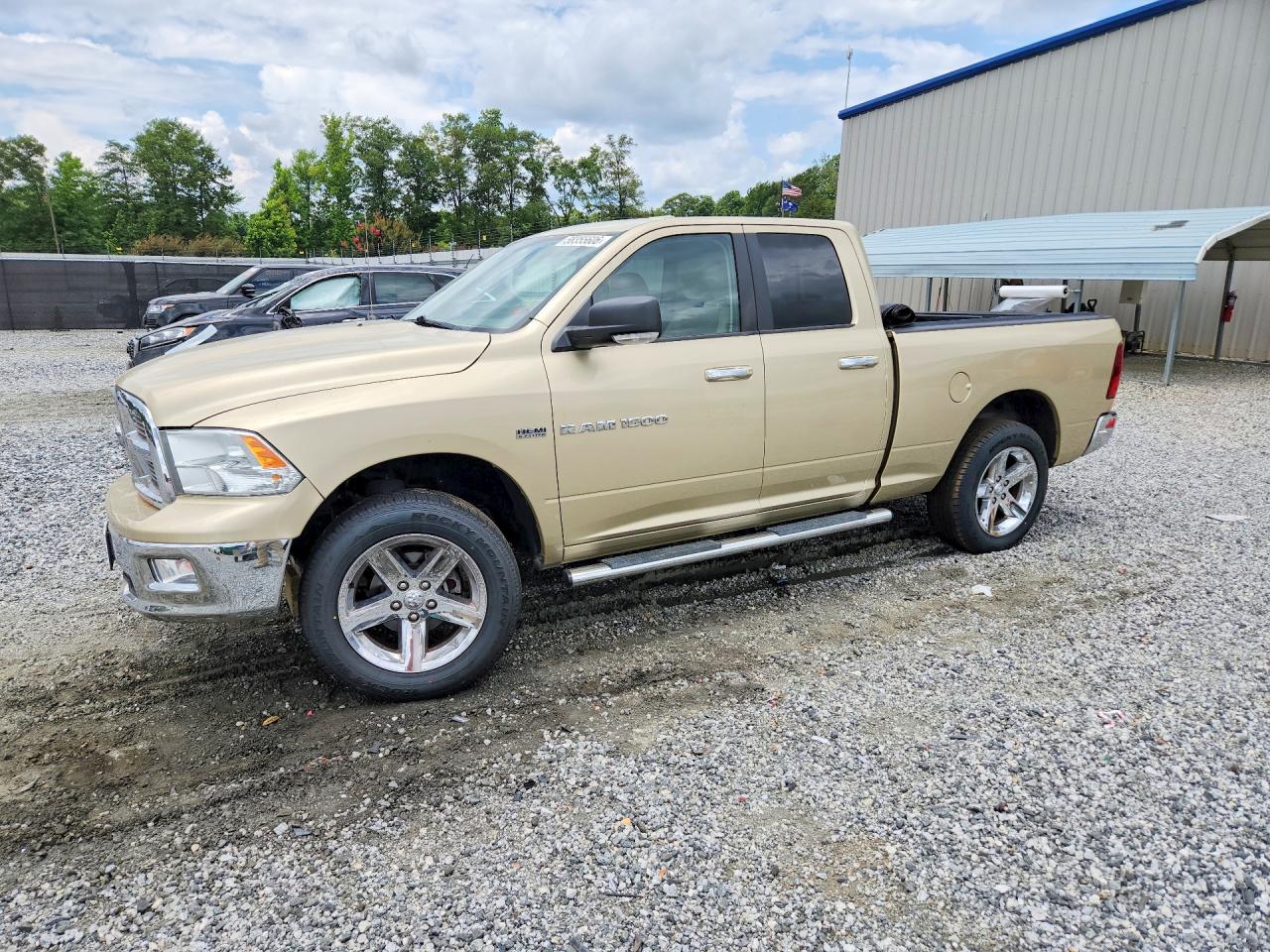 2011 Dodge Ram 1500 Gold vin: 1D7RV1GT7BS557841