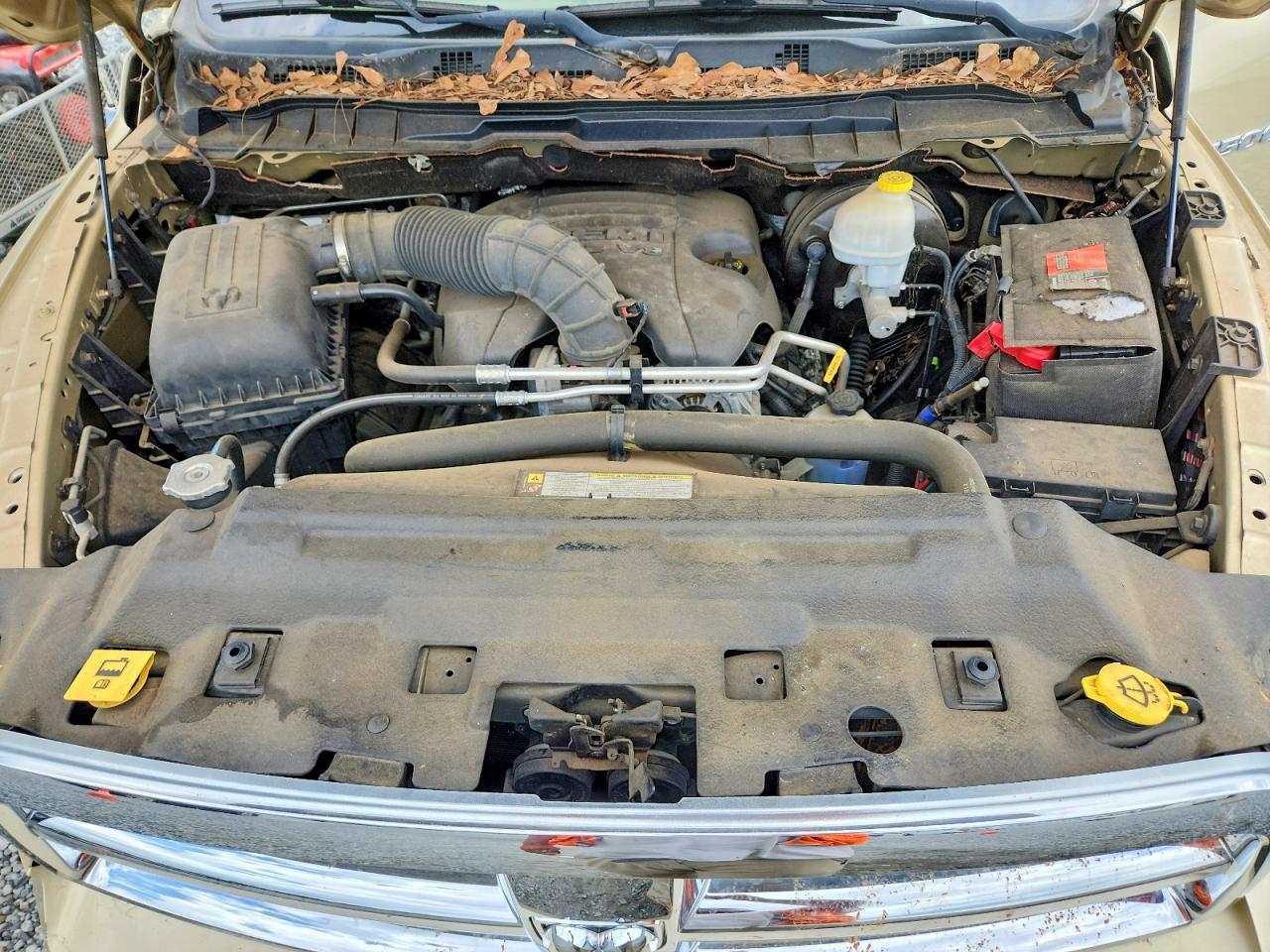 2011 Dodge Ram 1500 Gold vin: 1D7RV1GT7BS557841