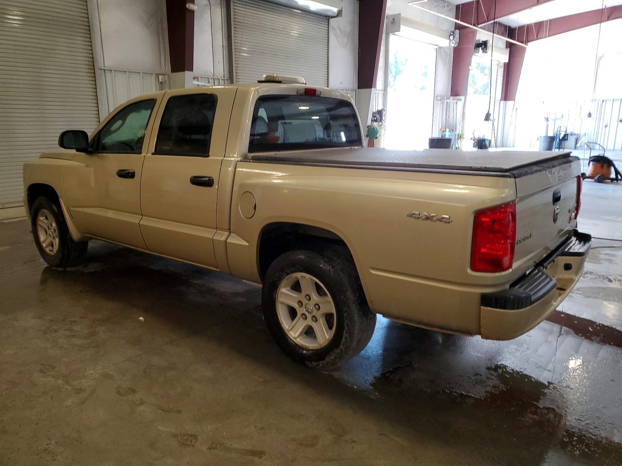 2011 Dodge Dakota Slt Золотой vin: 1D7RW3GK8BS701722