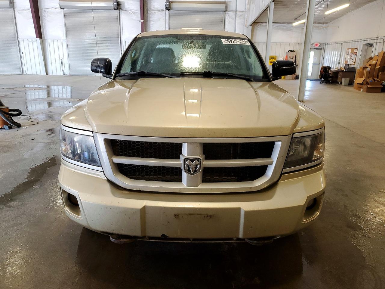 2011 Dodge Dakota Slt Золотой vin: 1D7RW3GK8BS701722