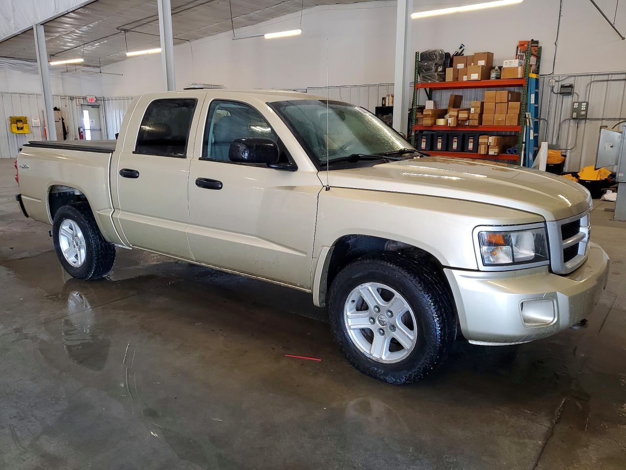 2011 Dodge Dakota Slt Золотой vin: 1D7RW3GK8BS701722
