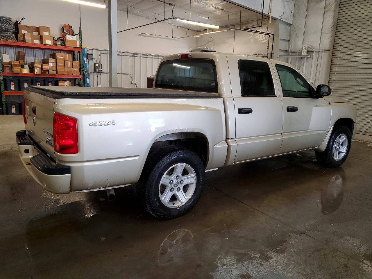 2011 Dodge Dakota Slt Золотой vin: 1D7RW3GK8BS701722