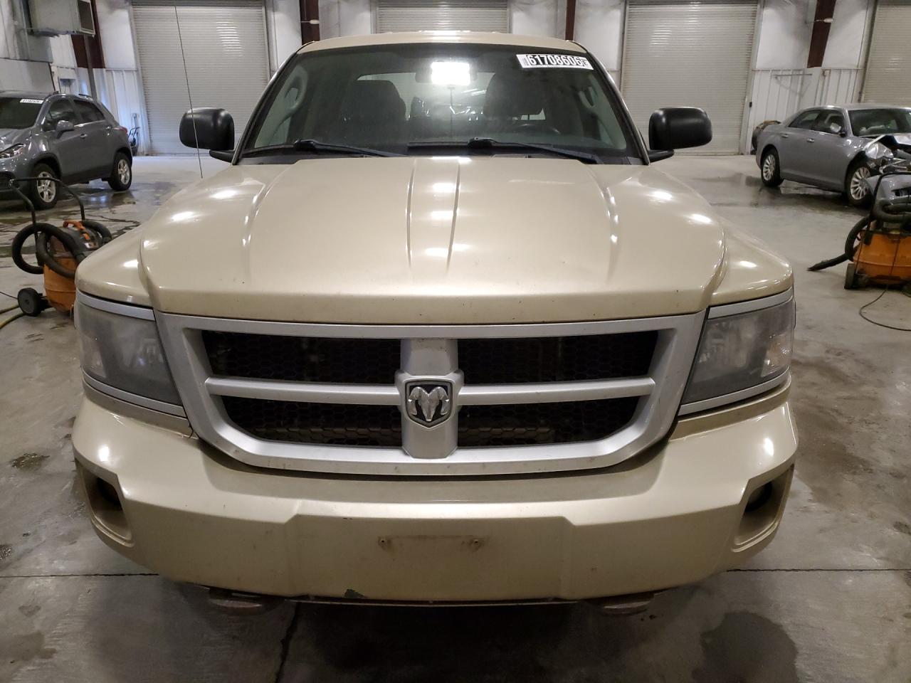 2011 Dodge Dakota Slt Золотой vin: 1D7RW3GK8BS701722 Damage: Left Head Lamp, Faded, Repair Required