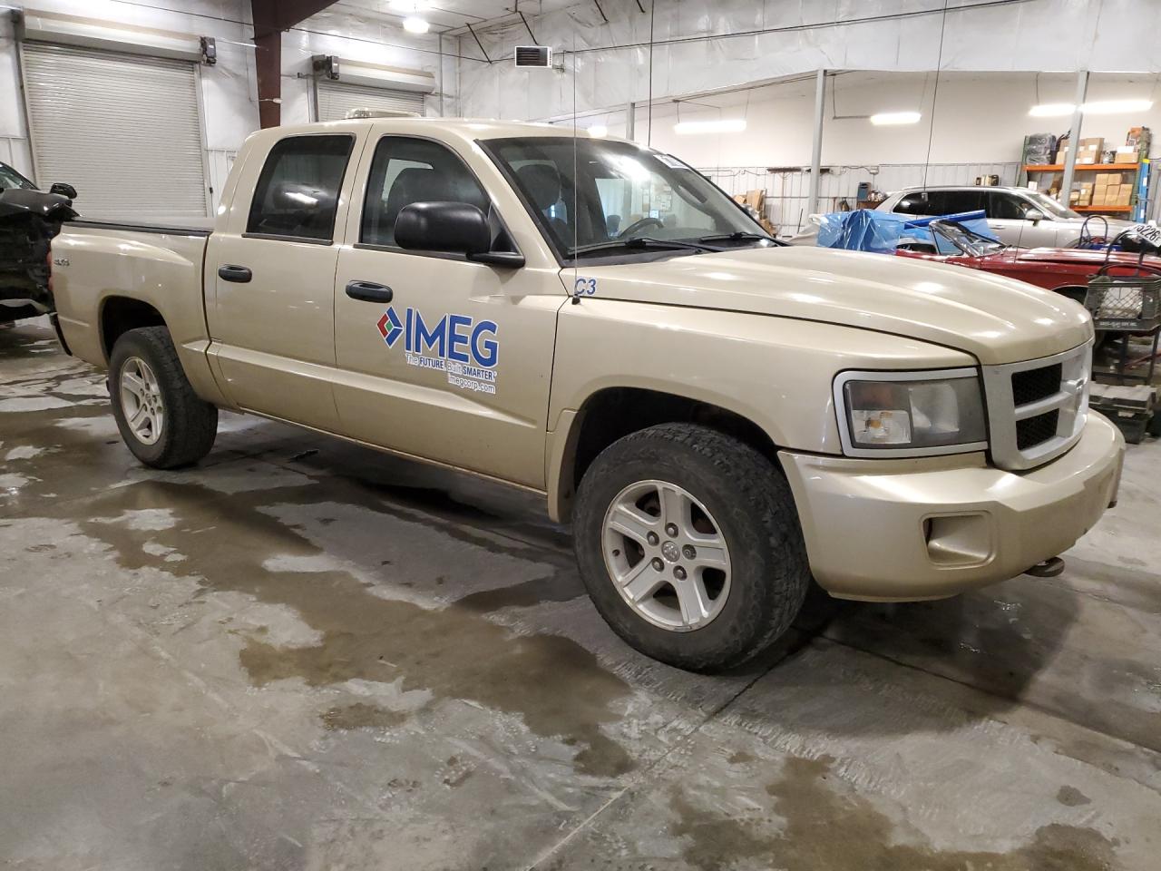 2011 Dodge Dakota Slt Золотой vin: 1D7RW3GK8BS701722 Damage: Overall Vehicle, De-Identify, Removal Required