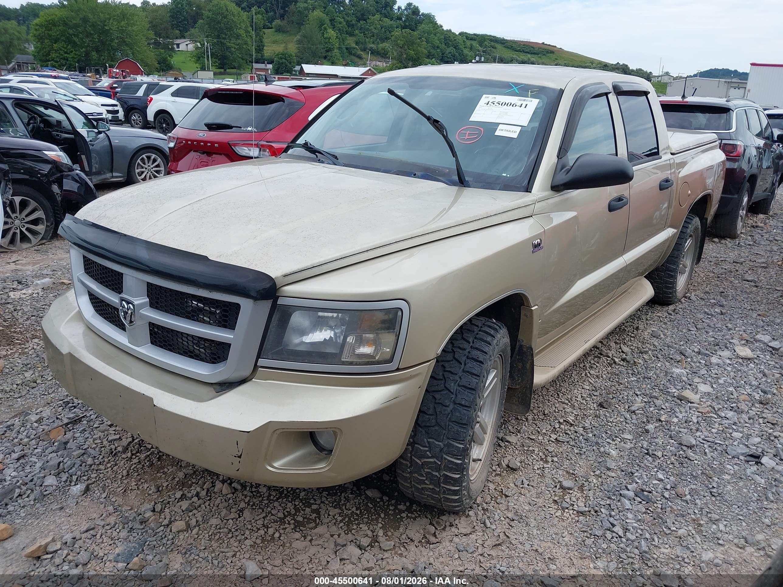 2011 Ram Dakota Bighorn/lonestar Gold vin: 1D7RW3GP0BS619950