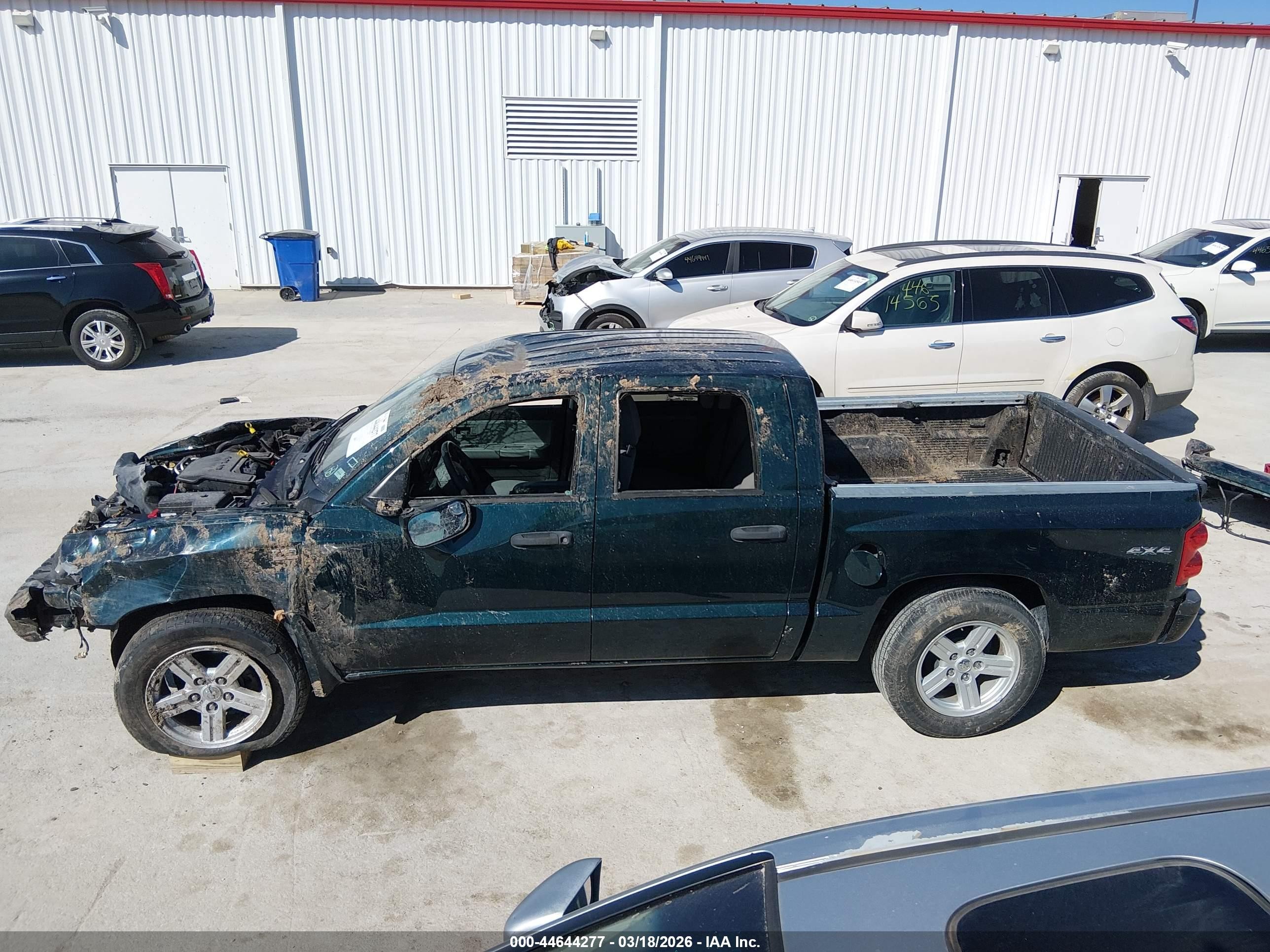 2011 Ram Dakota Bighorn/lonestar Green vin: 1D7RW3GP1BS579507
