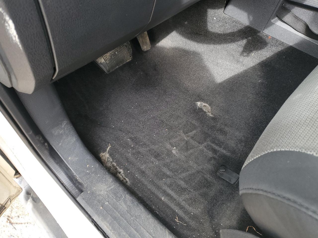 2008 Dodge Nitro Sxt White vin: 1D8GT28K48W125018 Damage: Left Front Carpet, Torn, 1 To 2 Inches