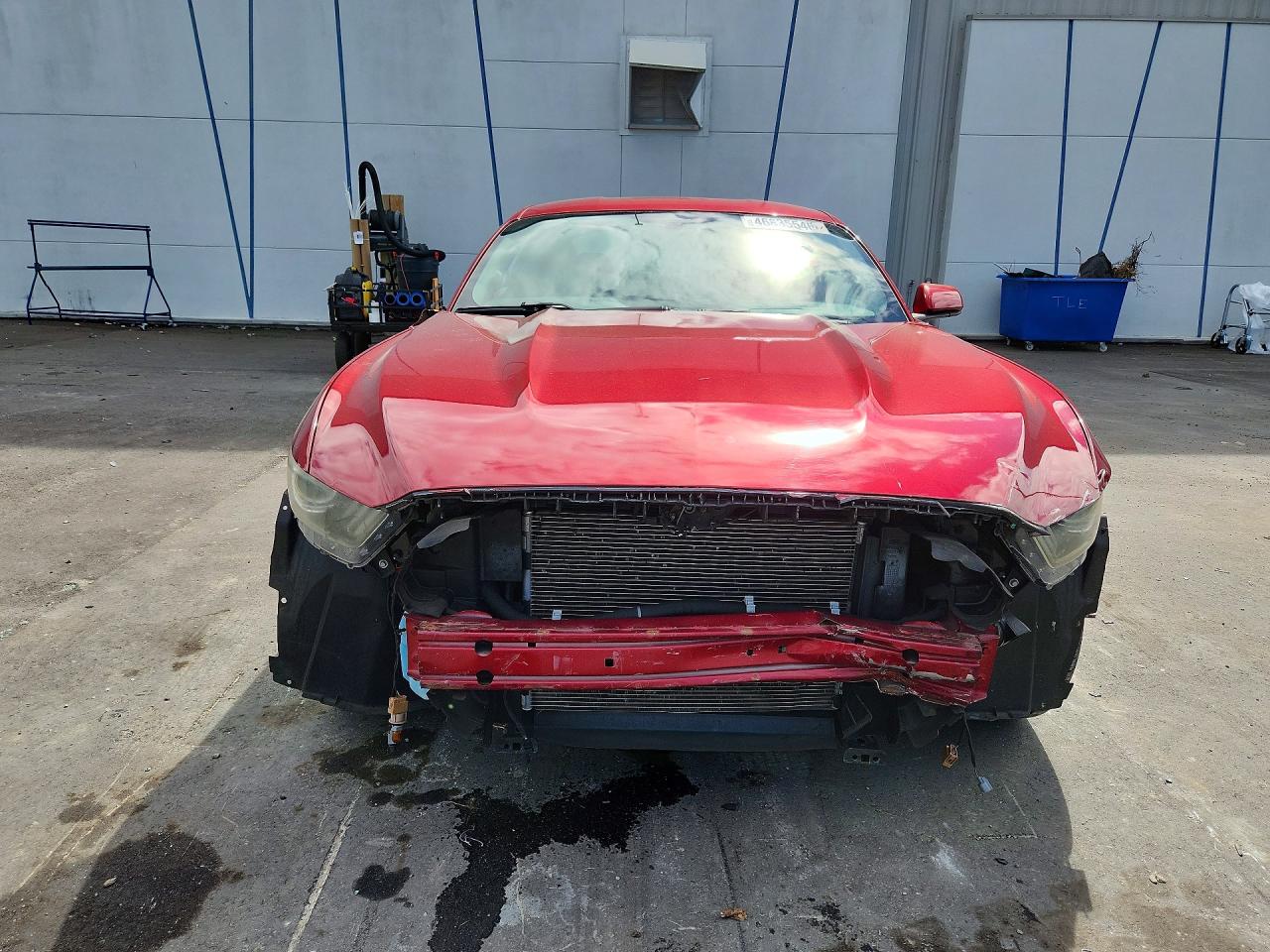 2015 Ford Mustang Red vin: 1FA6P8AM0F5367228