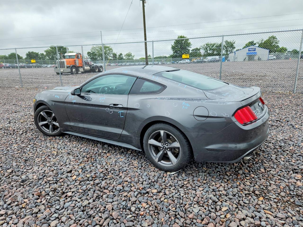 2015 Ford Mustang Gray vin: 1FA6P8AM2F5353587