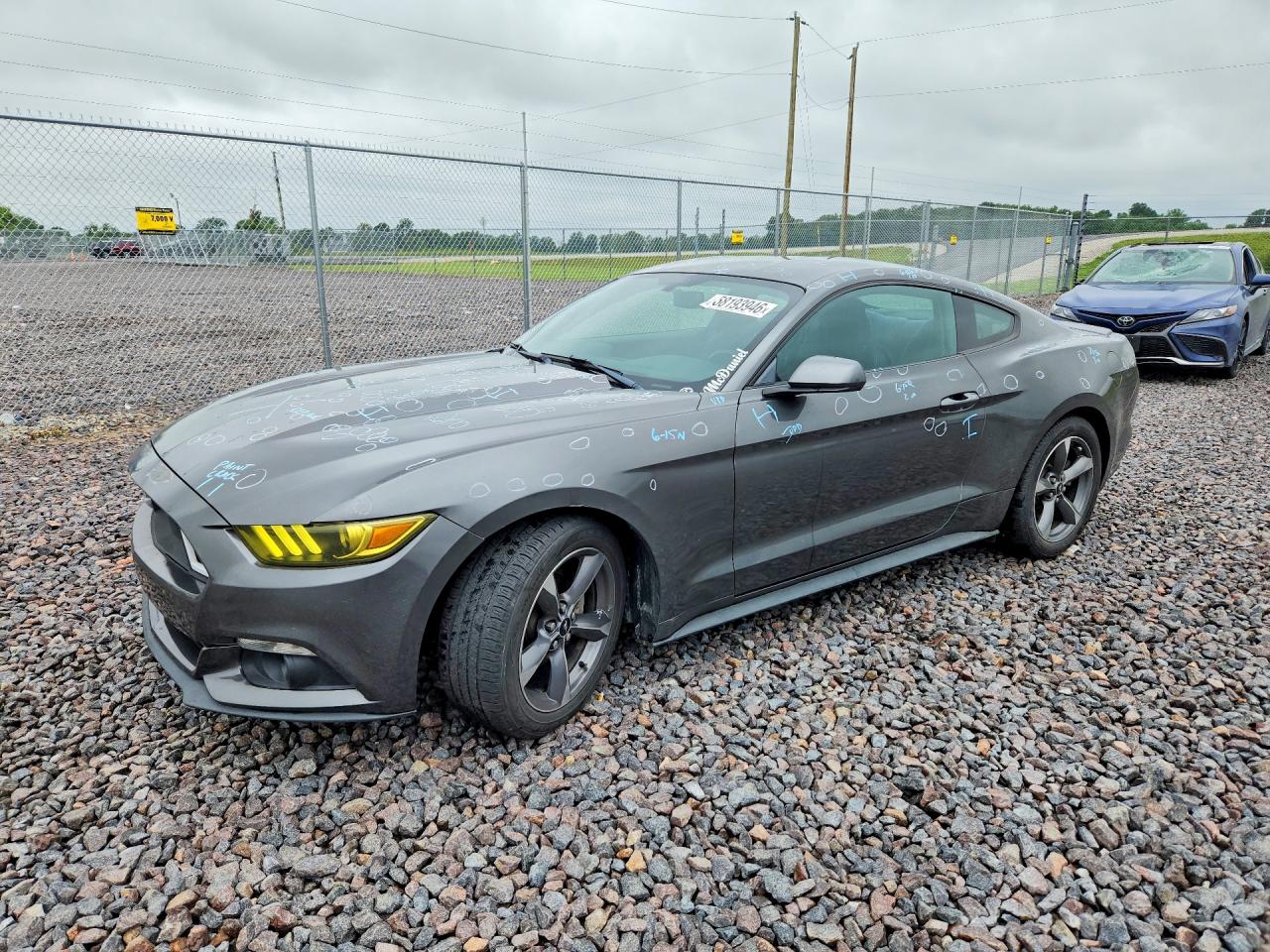 2015 Ford Mustang Gray vin: 1FA6P8AM2F5353587