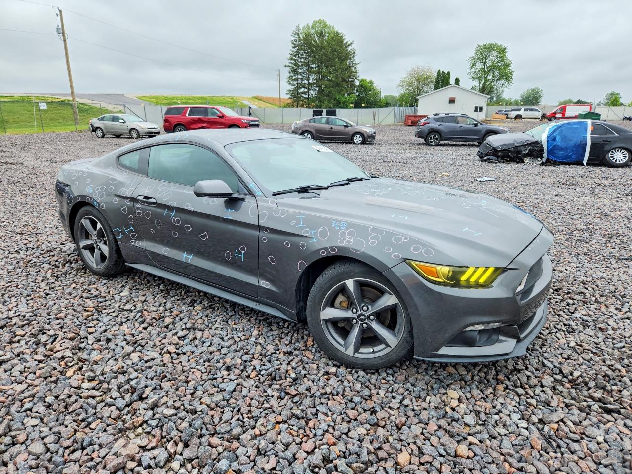 2015 Ford Mustang Gray vin: 1FA6P8AM2F5353587
