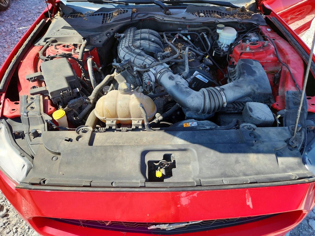 2015 Ford Mustang Red vin: 1FA6P8AM3F5348835