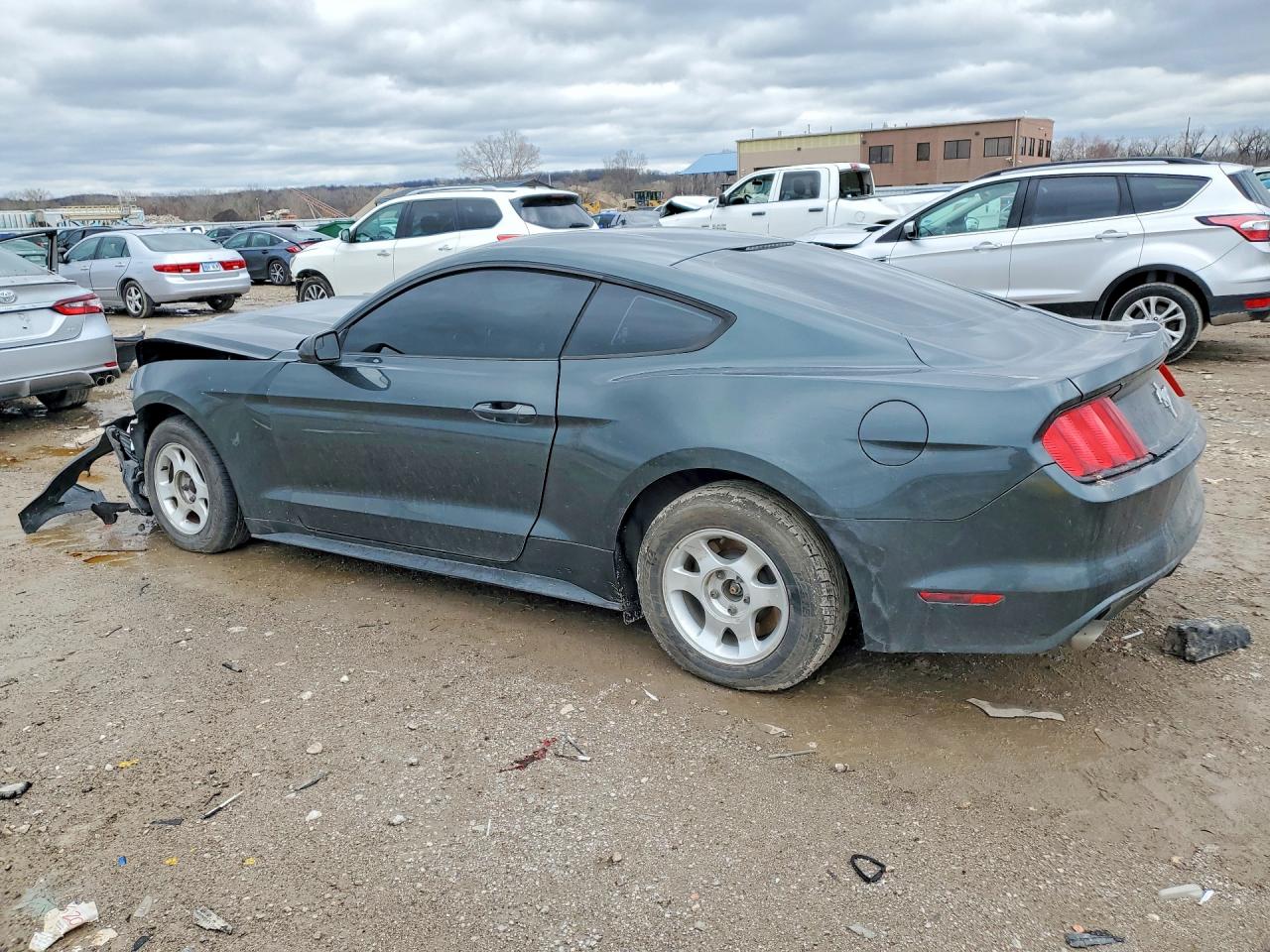 2015 Ford Mustang Gray vin: 1FA6P8AM3F5376604