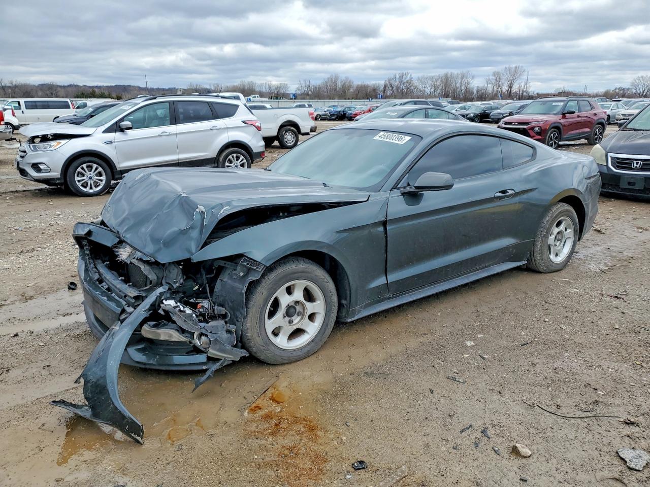 2015 Ford Mustang Gray vin: 1FA6P8AM3F5376604