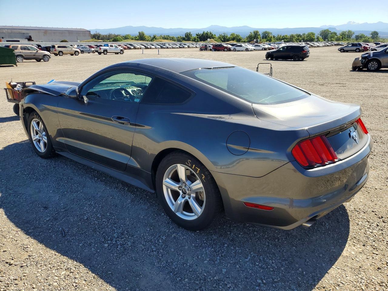 2015 Ford Mustang Gray vin: 1FA6P8AM4F5343255