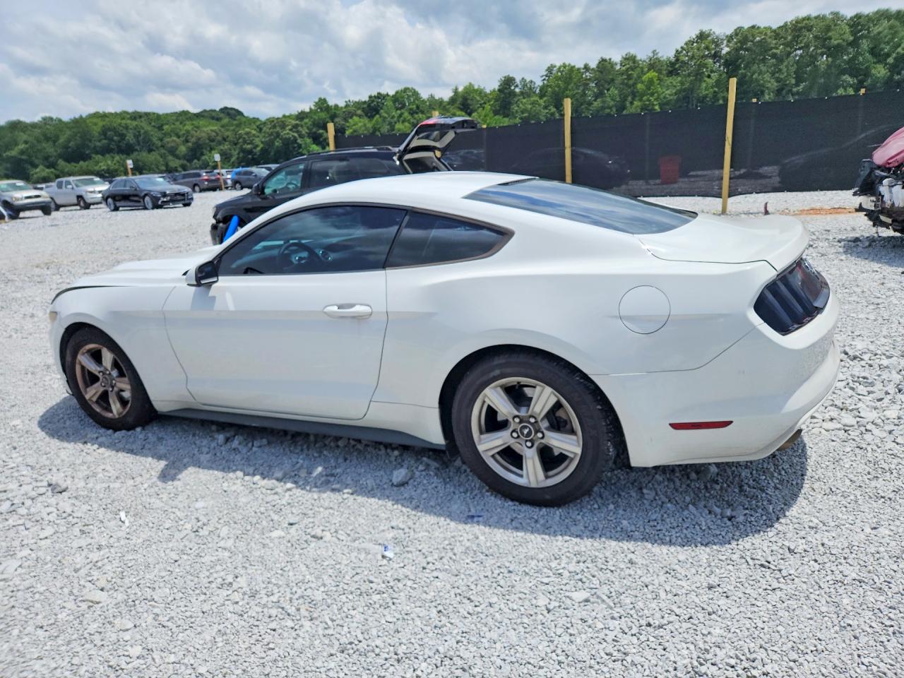 2015 Ford Mustang Белый vin: 1FA6P8AM4F5379852