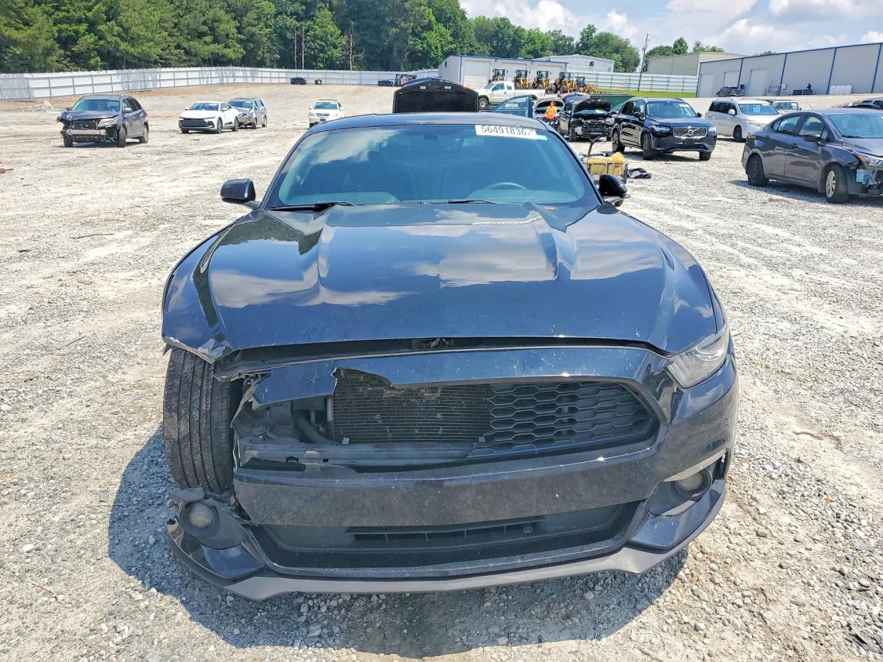 2015 Ford Mustang Black vin: 1FA6P8AM6F5310189