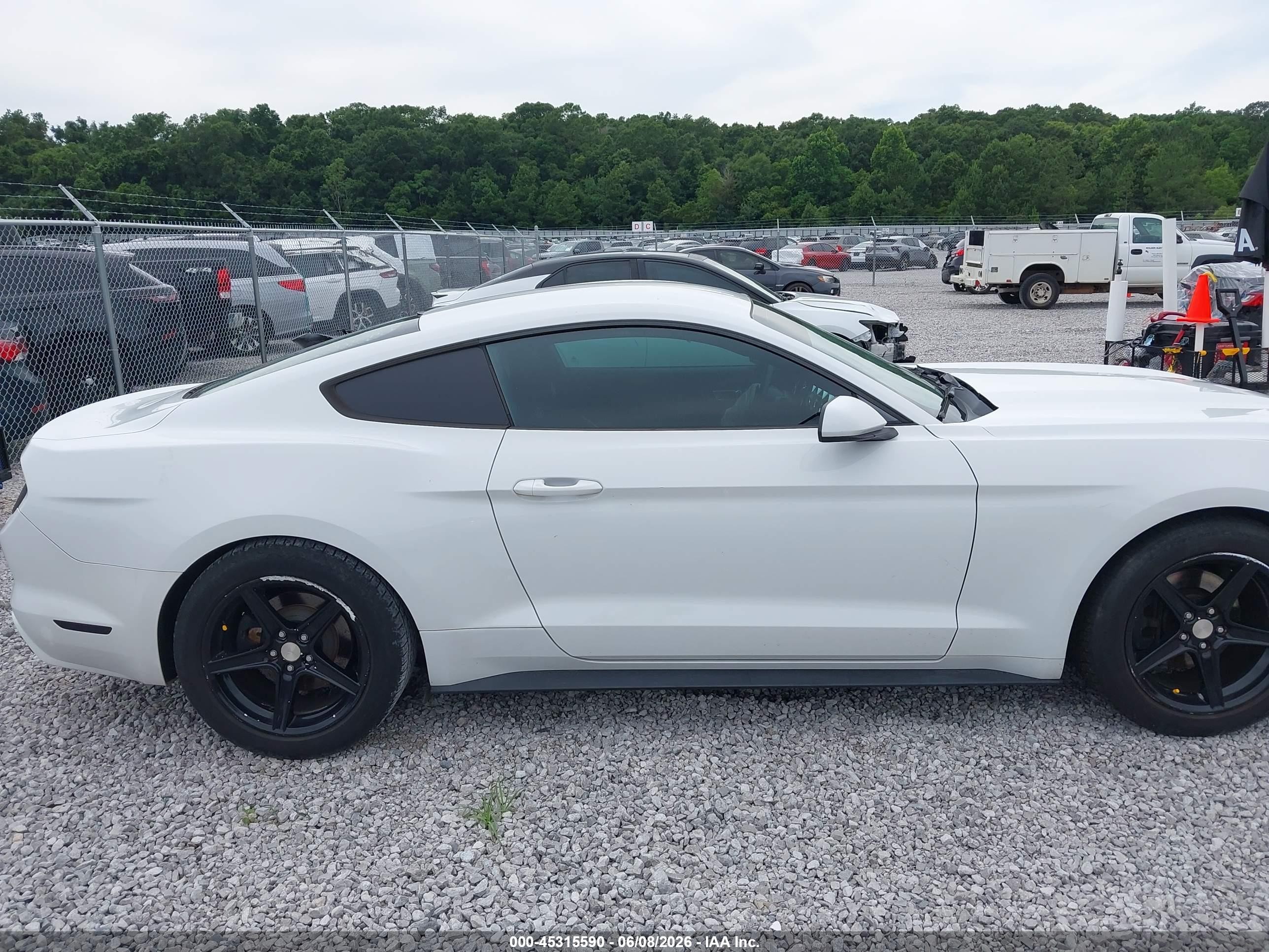 2015 Ford Mustang V6 White vin: 1FA6P8AM7F5328720