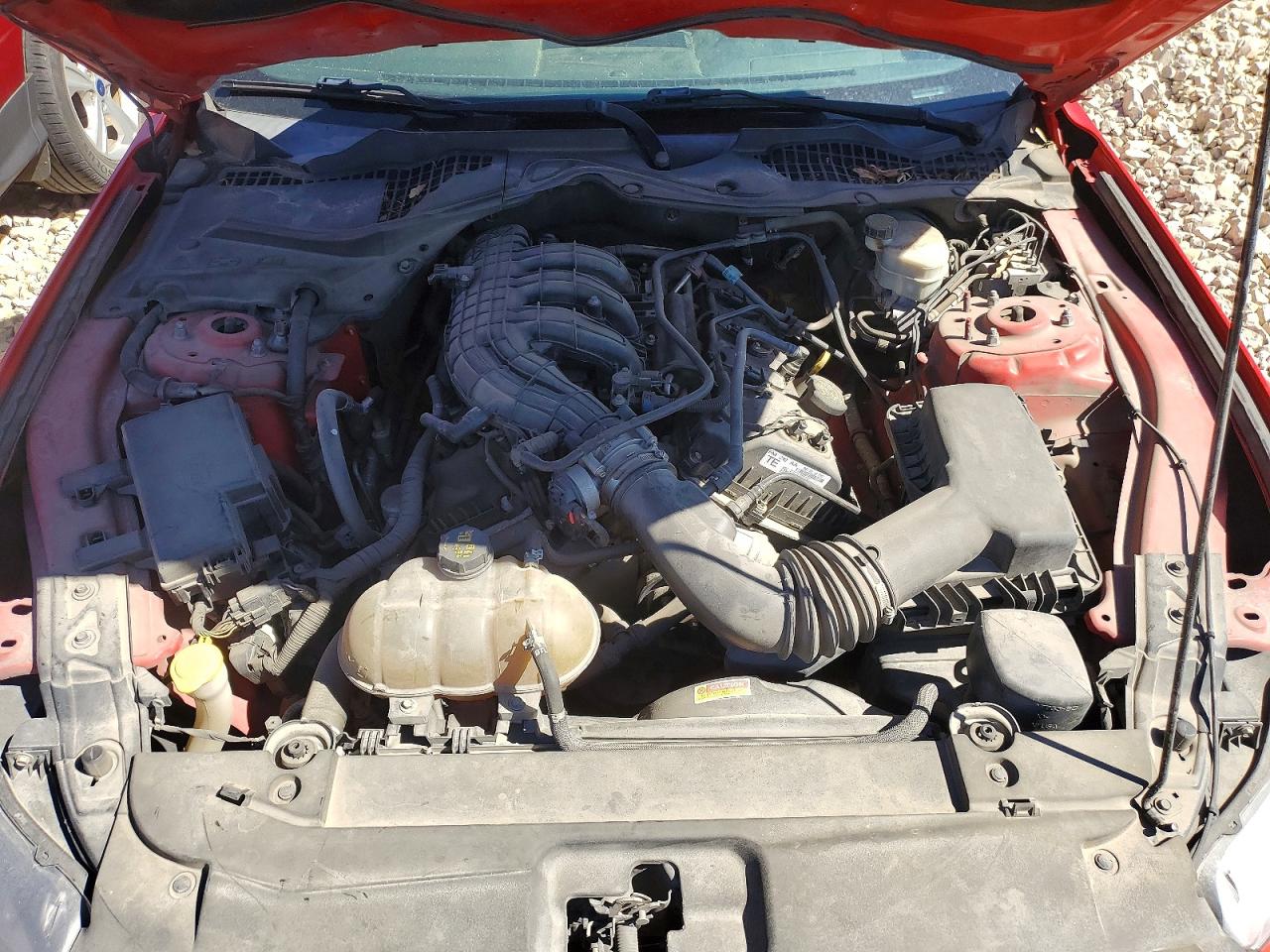2015 Ford Mustang Красный vin: 1FA6P8AM7F5429546