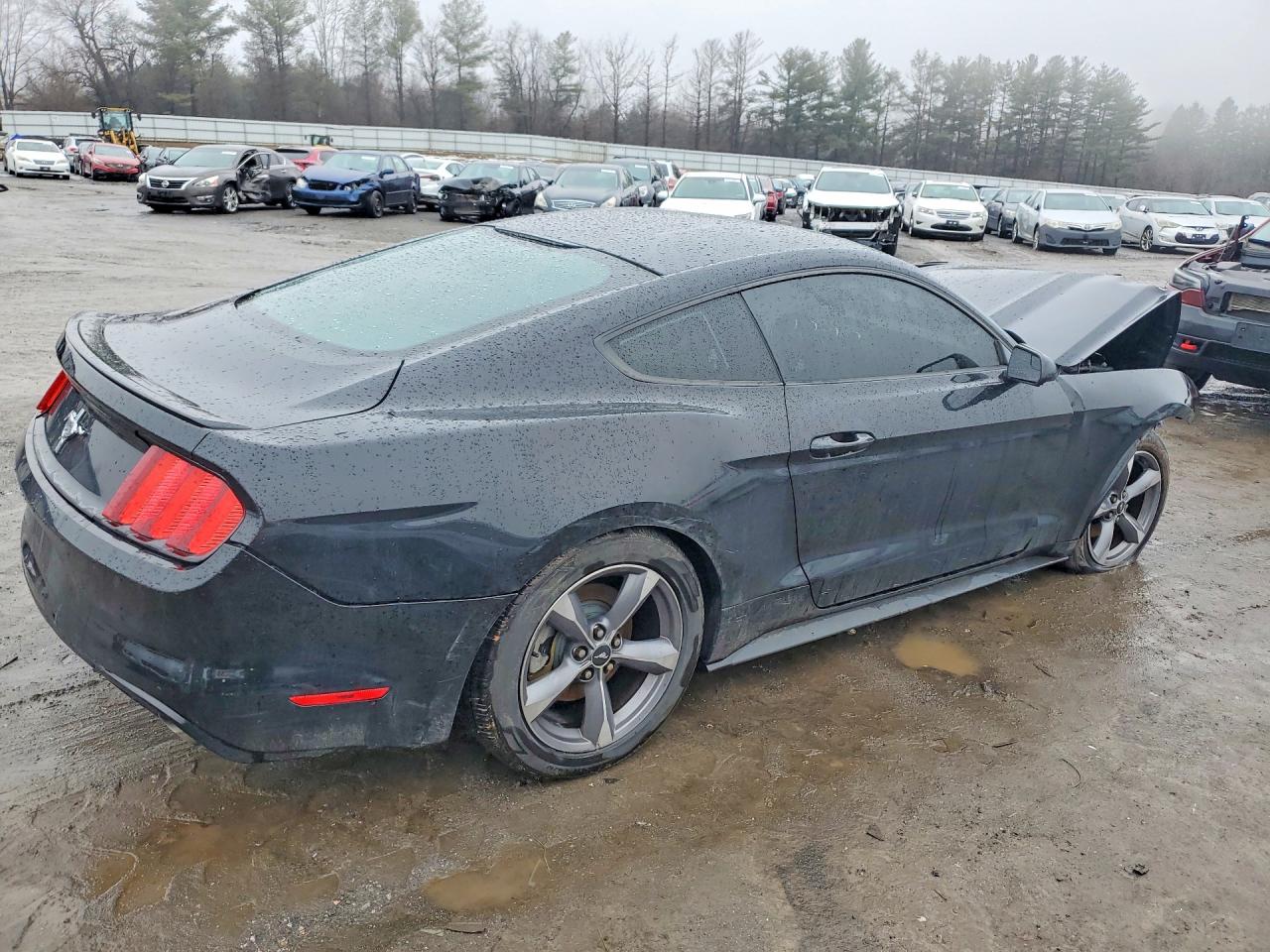 2015 Ford Mustang Black vin: 1FA6P8AM8F5321694