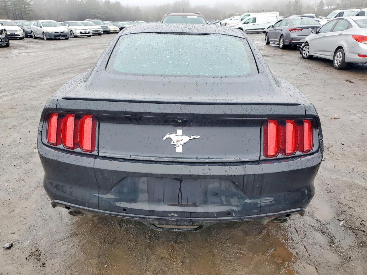 2015 Ford Mustang Black vin: 1FA6P8AM8F5321694
