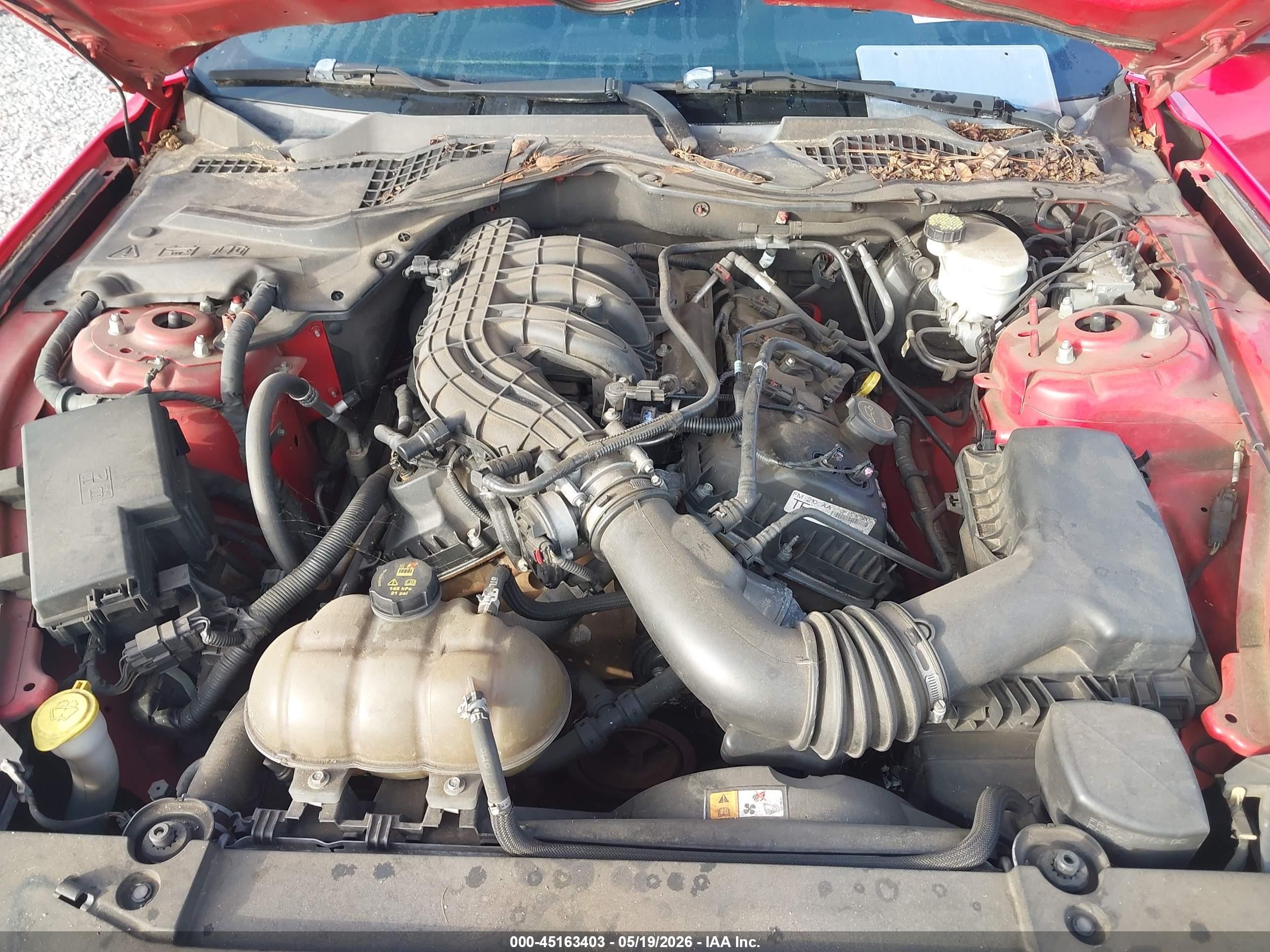 2015 Ford Mustang V6 Красный vin: 1FA6P8AM8F5340570