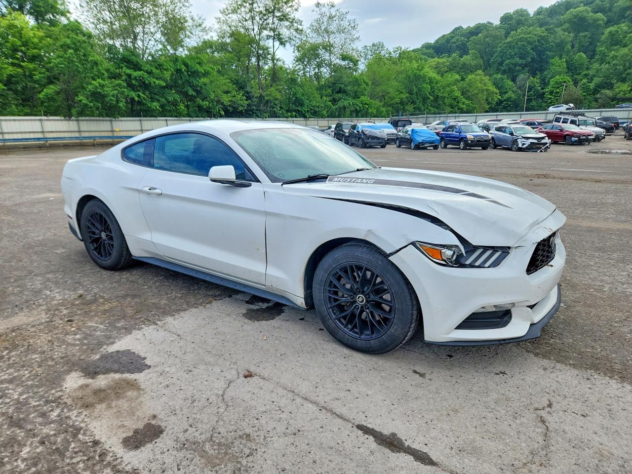 2017 Ford Mustang White vin: 1FA6P8AM8H5244568