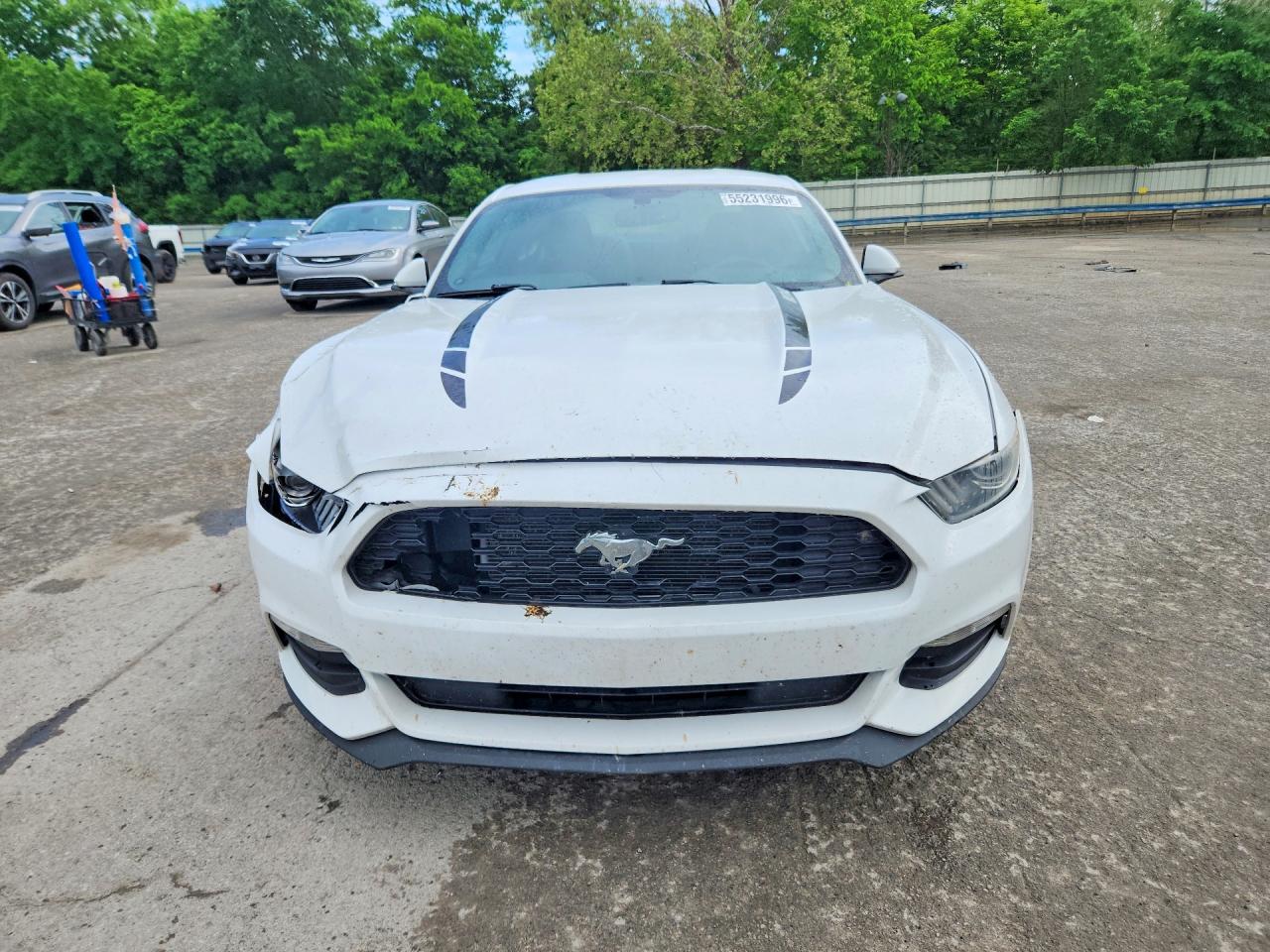 2017 Ford Mustang White vin: 1FA6P8AM8H5244568