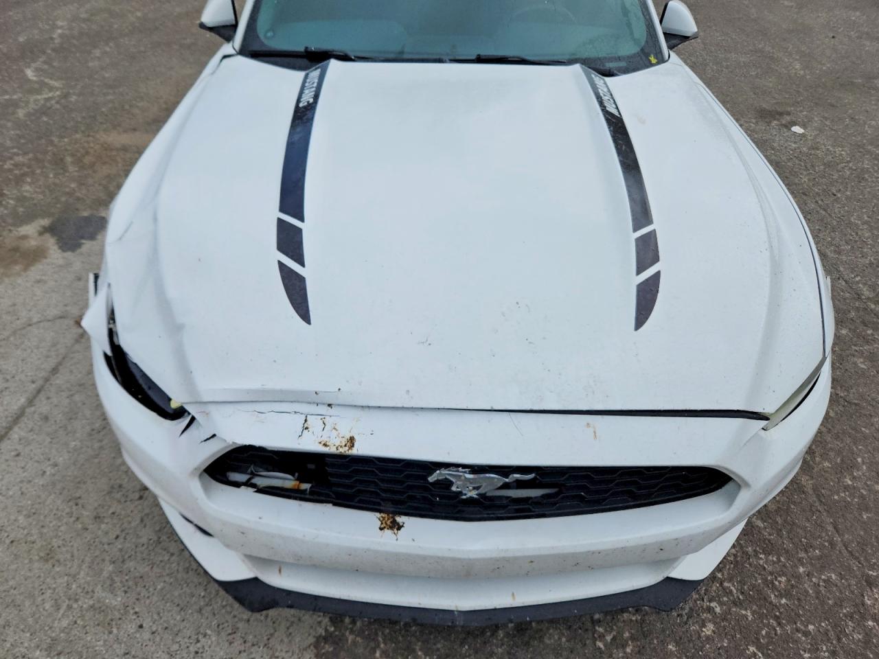 2017 Ford Mustang White vin: 1FA6P8AM8H5244568