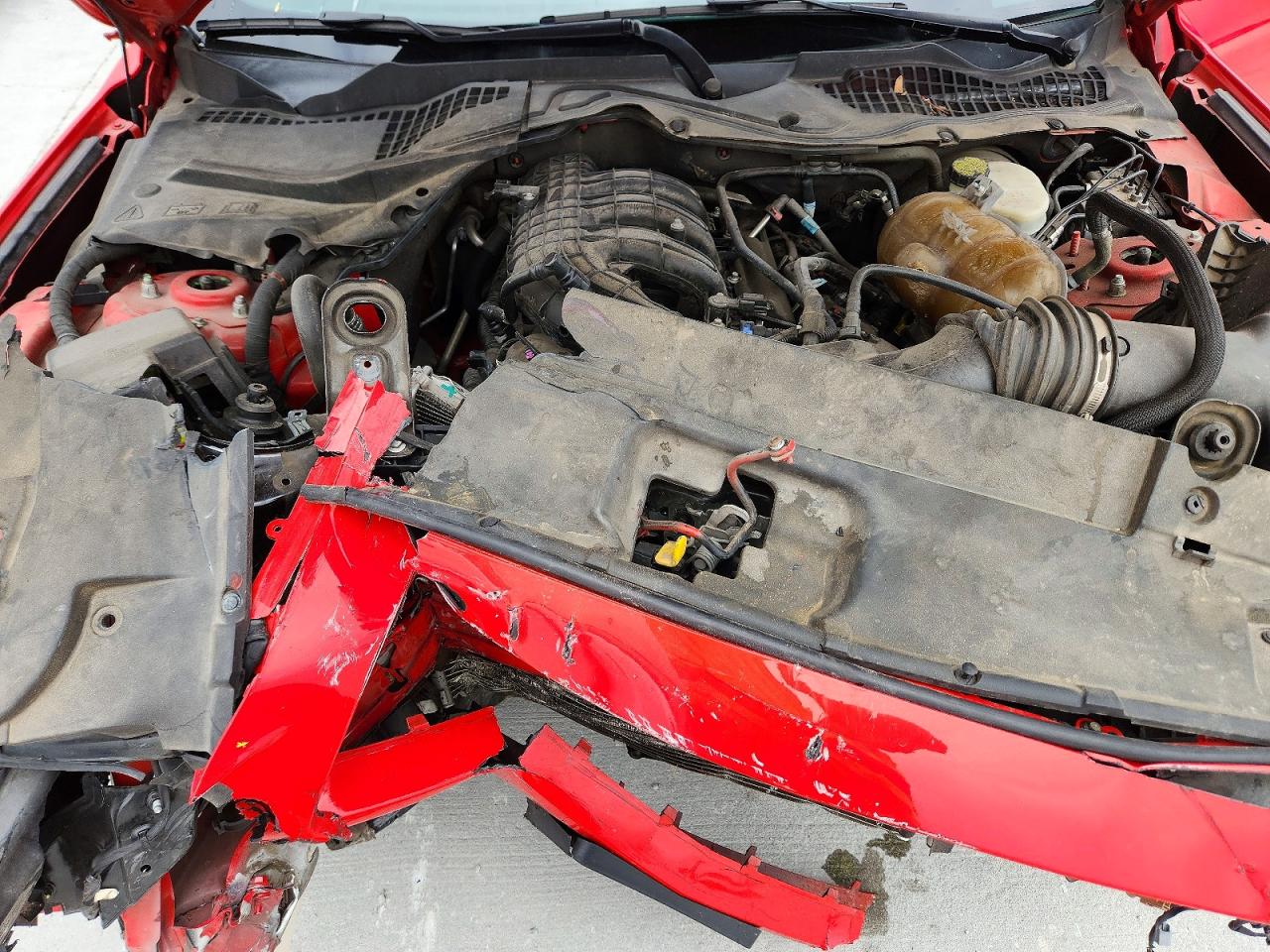 2015 Ford Mustang Red vin: 1FA6P8AM9F5318027