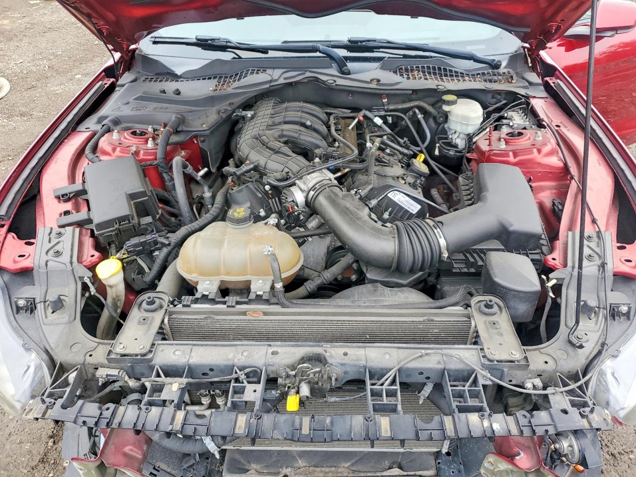 2015 Ford Mustang Red vin: 1FA6P8AM9F5381208