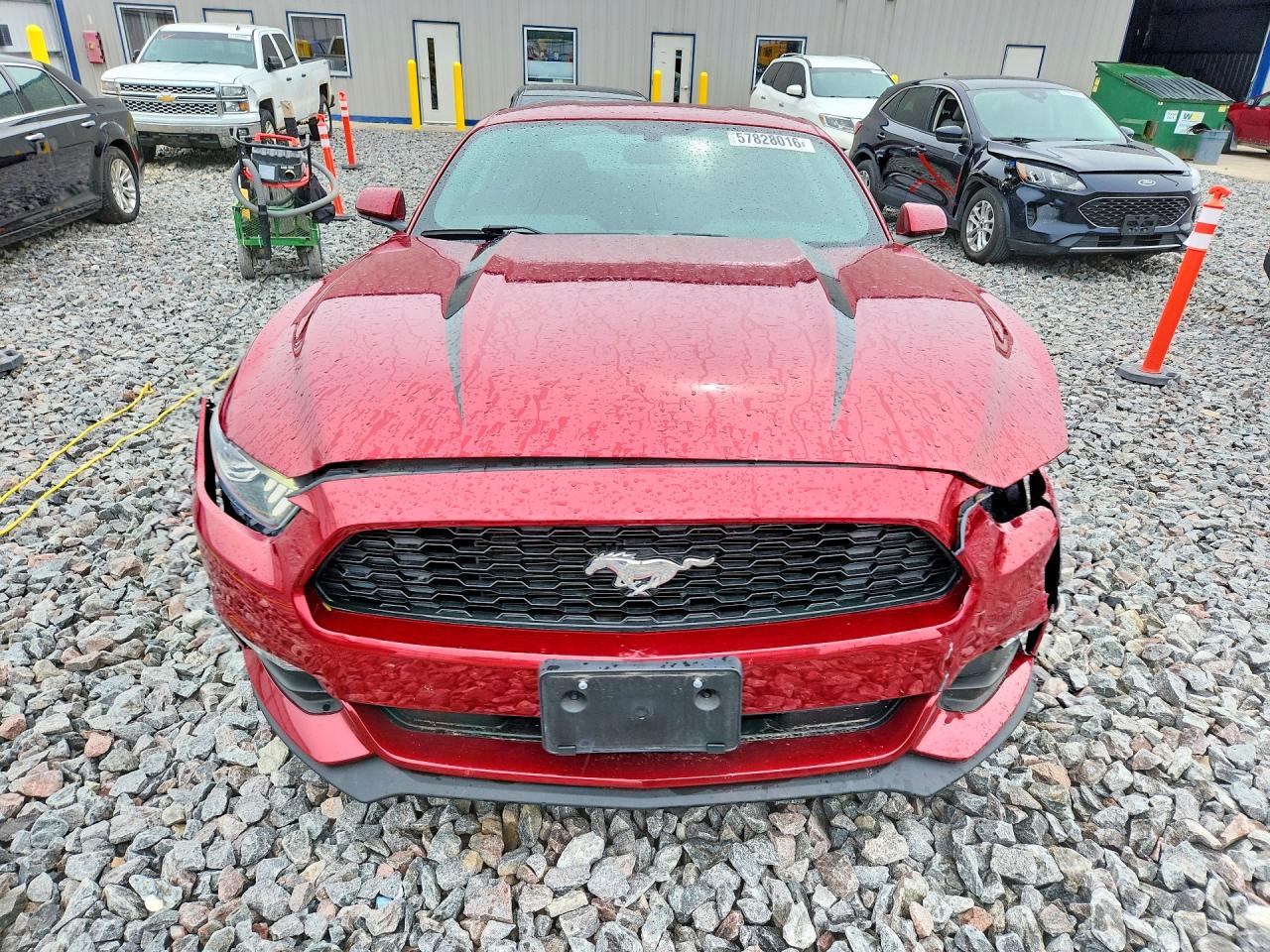 2015 Ford Mustang Red vin: 1FA6P8AMXF5367849