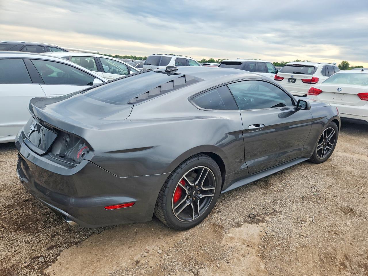 2015 Ford Mustang Gray vin: 1FA6P8AMXF5427371