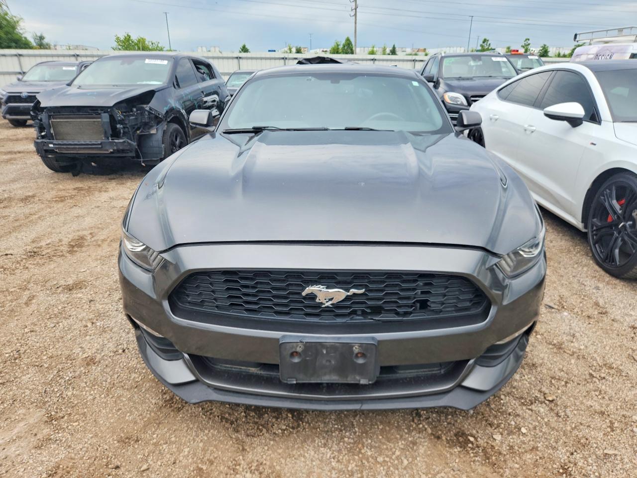 2015 Ford Mustang Gray vin: 1FA6P8AMXF5427371