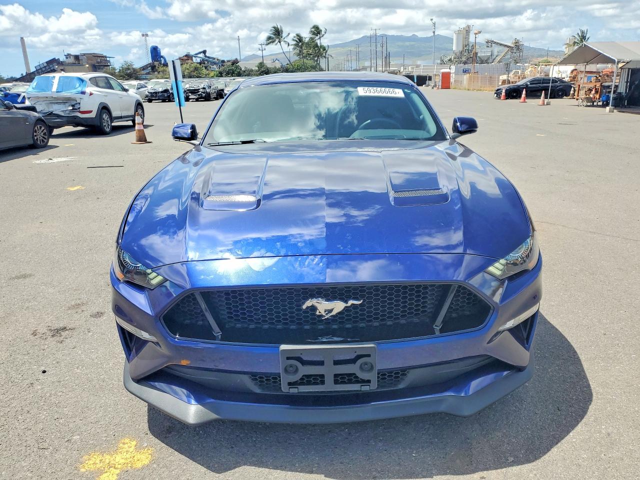 2019 Ford Mustang Gt Blue vin: 1FA6P8CF0K5119229