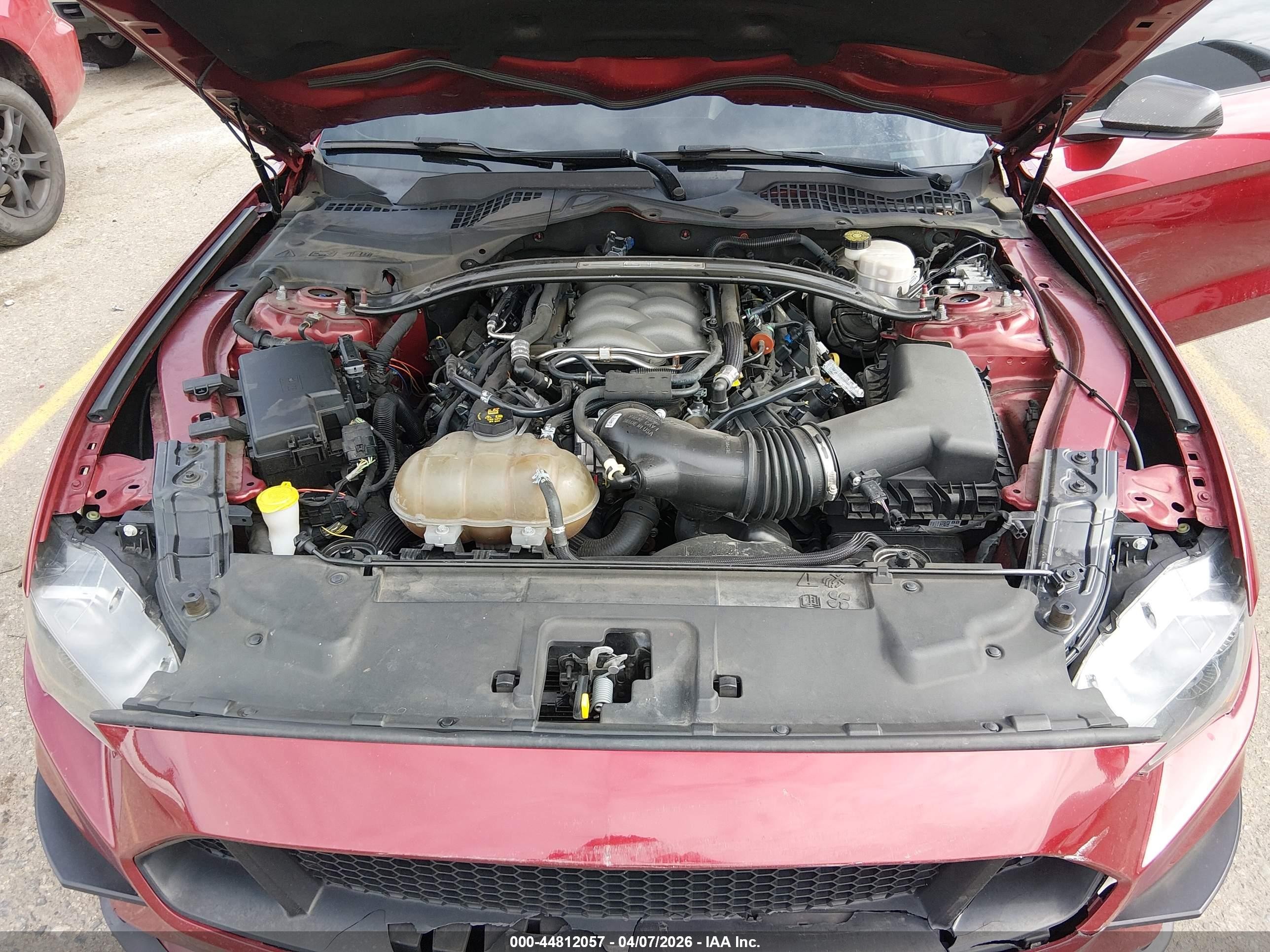 2019 Ford Mustang Gt Premium Red vin: 1FA6P8CF0K5185960