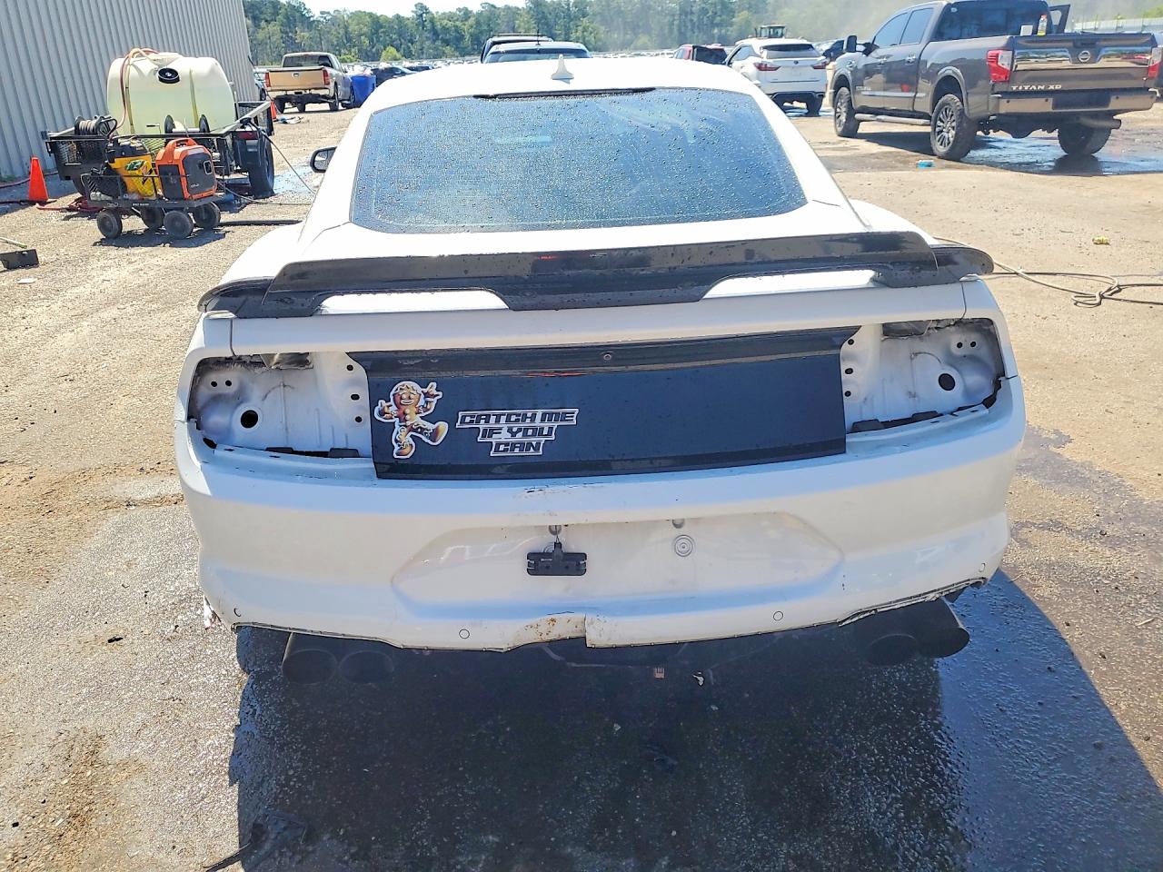 2020 Ford Mustang Gt White vin: 1FA6P8CF1L5170675