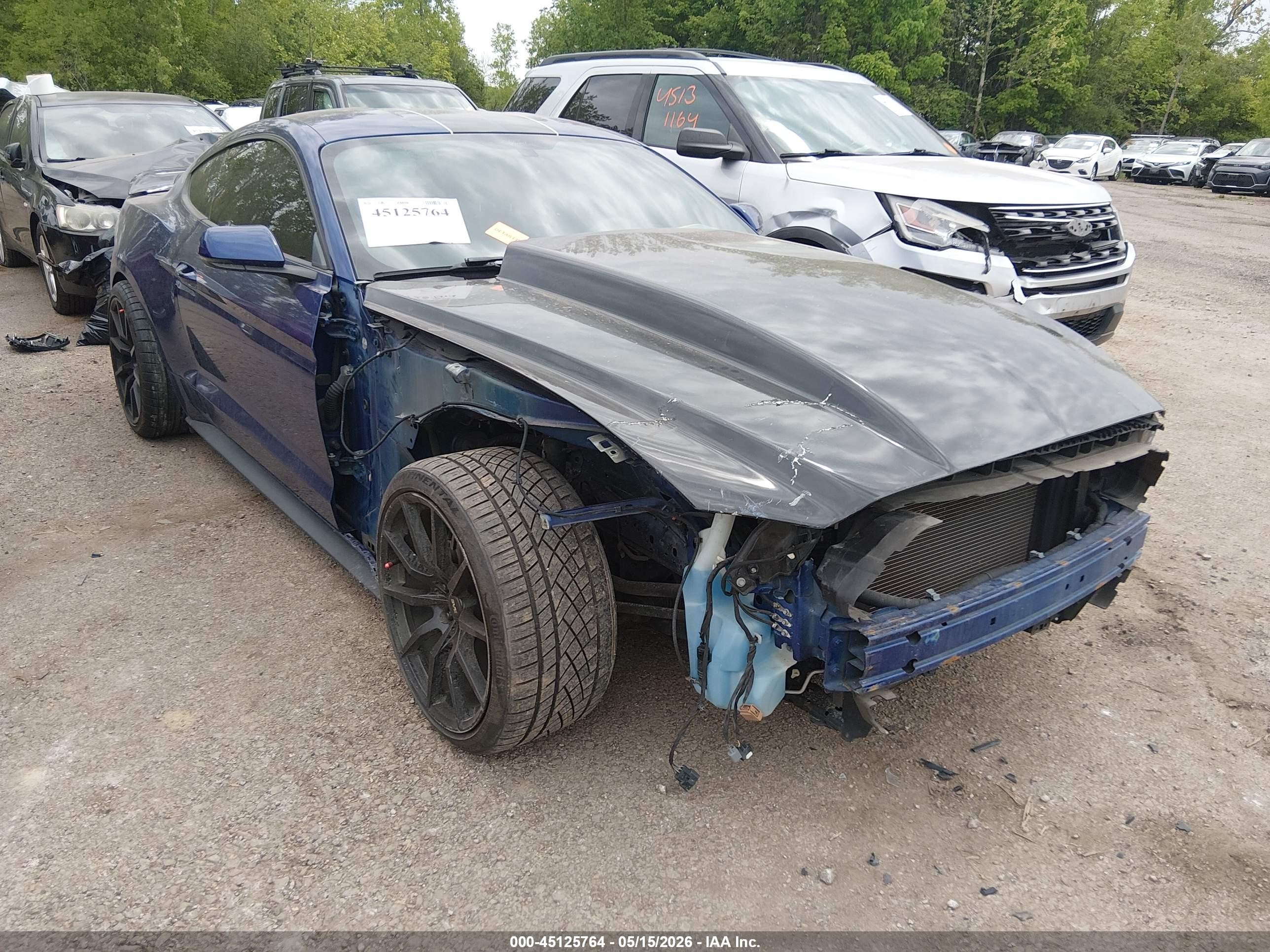 2015 Ford Mustang Gt Premium Blue vin: 1FA6P8CF2F5369965