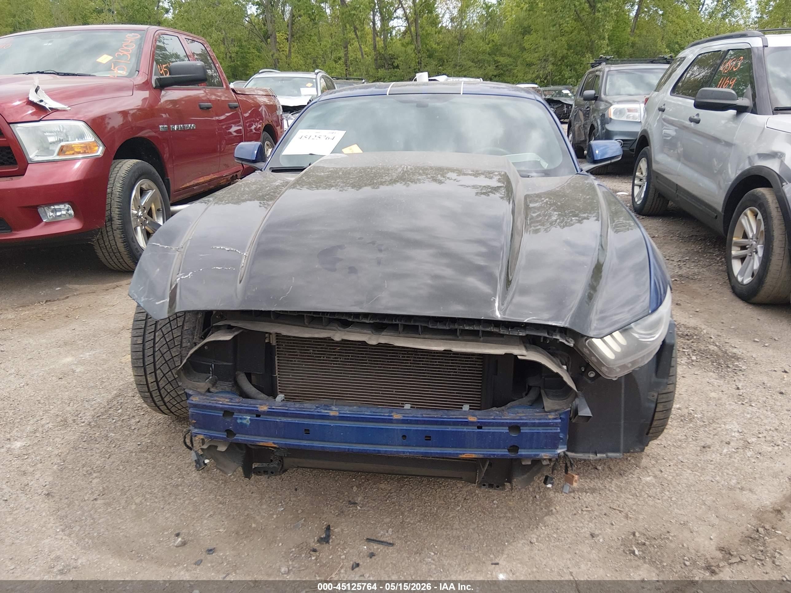 2015 Ford Mustang Gt Premium Blue vin: 1FA6P8CF2F5369965