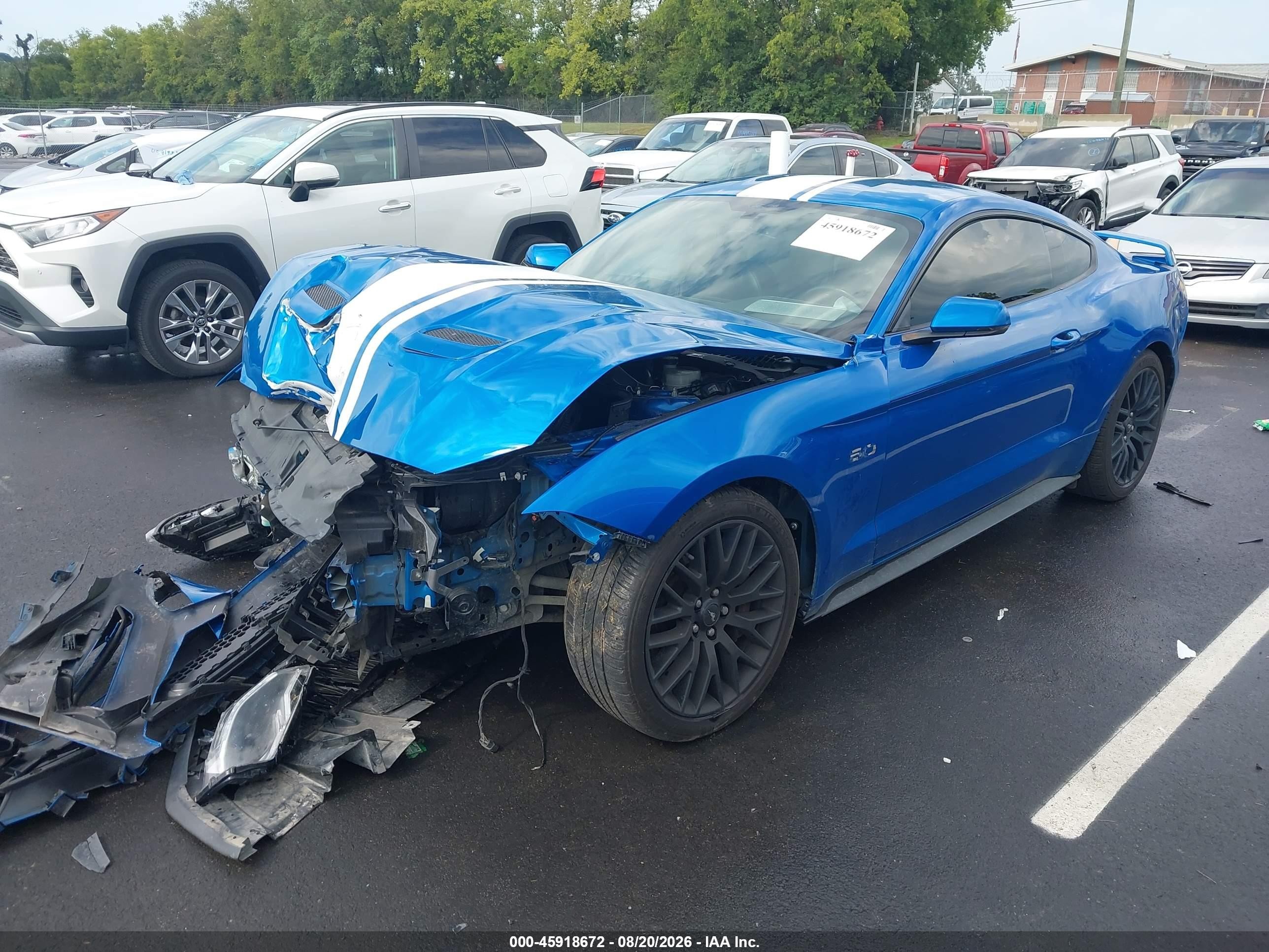 2019 Ford Mustang Gt Premium Blue vin: 1FA6P8CF4K5116463