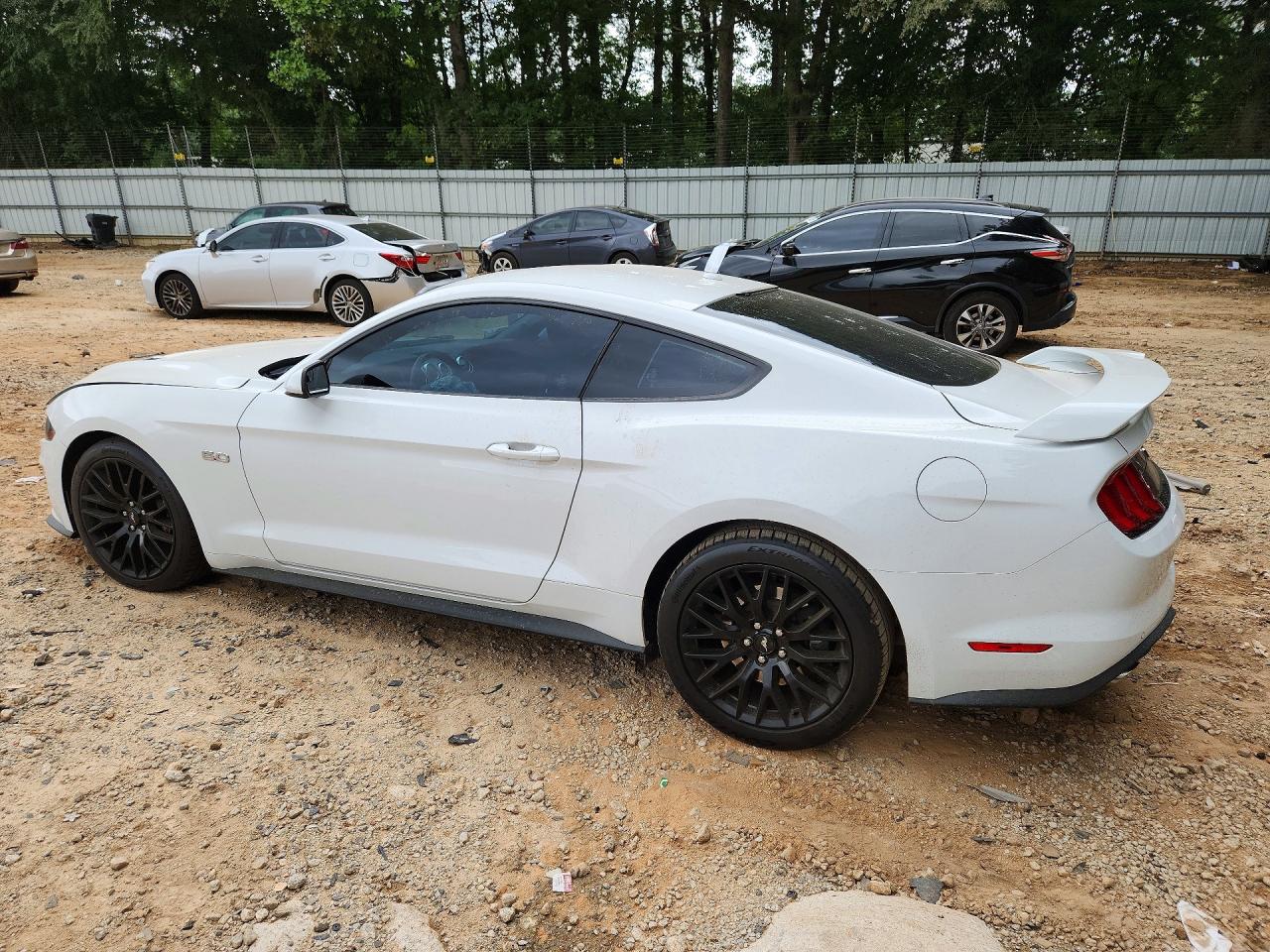 2019 Ford Mustang Gt White vin: 1FA6P8CF4K5133750