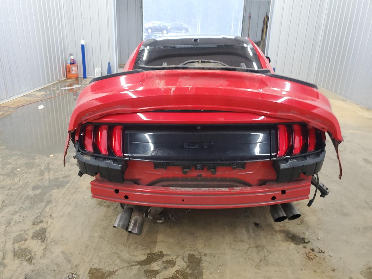 2019 Ford Mustang Gt Красный vin: 1FA6P8CF4K5134168 Damage: Deck Lid, Multiple Scratches Heavy, 10 Or More